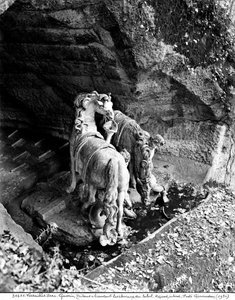 تريتون سقي خيول الشمس في بستان حمامات أبولو ، 1666 (رخام) بواسطة جيل غيرين